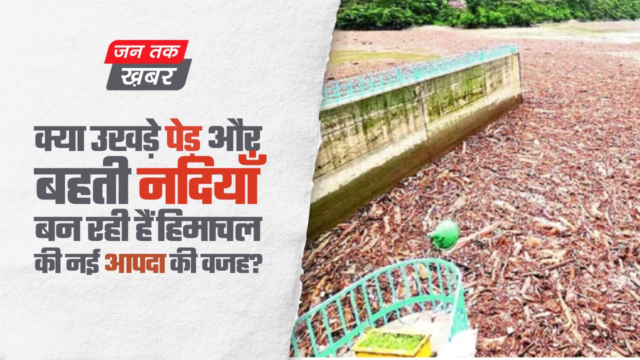 क्या उखड़े पेड़ और बहती नदियाँ बन रही हैं हिमाचल की नई आपदा की वजह?