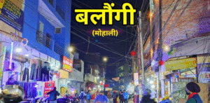 मोहाली बलौंगी गांव में लटके बिजली के तार और टूटे मीटर बॉक्स से बढ़ा खतरा