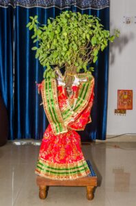 Tulsi-Vivah-2025-तिथि-मुहूर्त-महत्व-और-पूजा-विधि-Jantak-Khabar