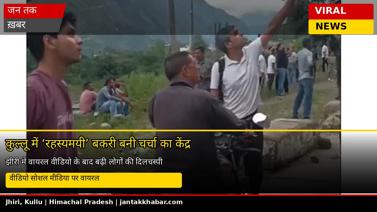 कुल्लू में बकरी बनी चर्चा का केंद्र, झीरी में जुट रहे लोग | Himachal News